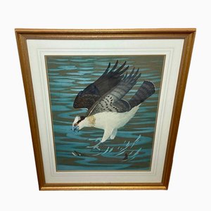Ralston Gudgeon, Falco pescatore in picchiata su luccio, metà del XX secolo, acquerello