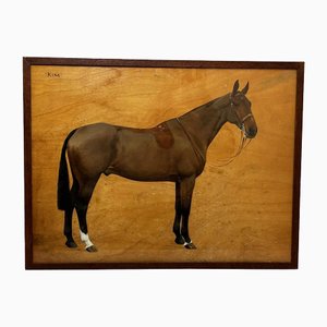 Frances Mabel Hollams, Kim Bay Hunter Horse, 1935, Dipinto ad olio
