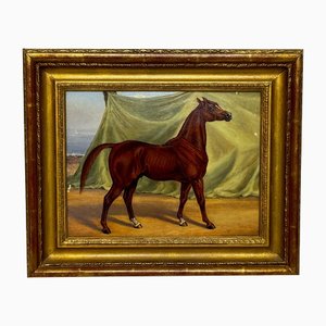 Caballo árabe de castaño rojo de pura raza en los establos de Bombay, India, principios de 1900, pintura al óleo, enmarcado