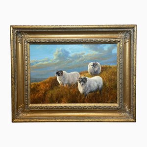 Artista británico, Tres ovejas en las Tierras Altas de Escocia, Pintura al óleo, Enmarcado