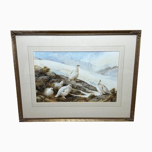 Neil Cox, Highland Moors Wildlife Covey of Ptarmigan Game Birds, Watercolor
