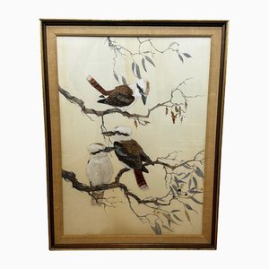Robin Hill, Pájaros Kookaburras posados en Bush, 1962, Acuarela