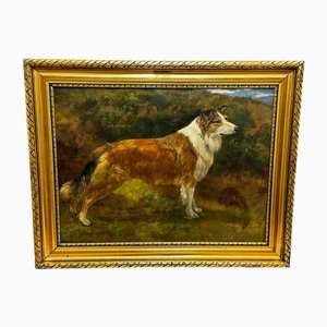 John Trivett Nettleship, Rough Scottish Collie Dog, 1898, Oil Painting, Framed