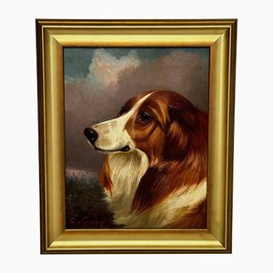 Colin Graeme Roe, Scottish Hunting Rough Collie Dog in Moors, pittura a olio, con cornice