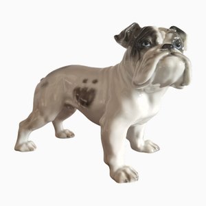 Englische Bulldogge von Fritz Heidenreich für Rosenthal