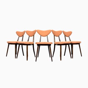 Dining Chairs by Helena & Jerzy Kurmanowicz, 1960s, Set of 5