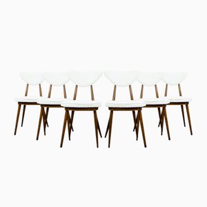 Dining Chairs by Helena & Jerzy Kurmanowicz, 1960s, Set of 6