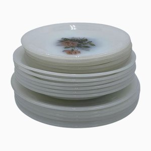 Assiettes Collection Arcopal Rose, France, 1970s, Set de 18
