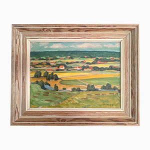 Campos de verano, años 50, pintura al óleo, enmarcado