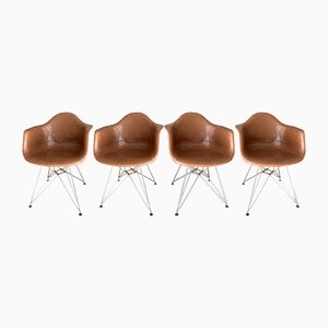 Shell Chairs in Leather, Set of 4