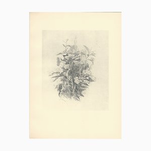 Giorgio Morandi, Wildflowers, 1930-1957, Lithograph