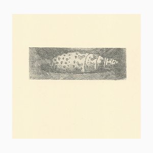 Giorgio Morandi, Shell, 1921-1957, Lithograph