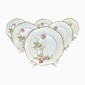 Platos llanos Baltimore Rose de Haviland Limoges, 1888. Juego de 6