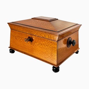 Historicism Box in Floral Ash Veneer and Rosewood, Austria, 1880s
