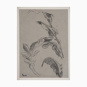 Maximilien Luce, Estudio de hojas, Dibujo original