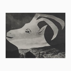 Pablo Picasso, Diurnal, The Goat on the Wrapping Horizon, Original Phototype