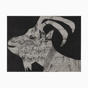 Pablo Picasso, Diurnes, The Goat with Gravois, Original Collotype