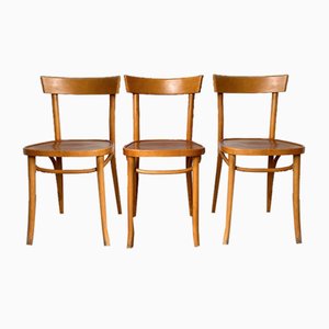 Bistro Chairs, 1960s, Set of 3