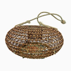 Cage en Fil de Fer pour Coquillages, 1960s