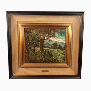 S. Omodeo, Landschaft, 1950er, Öl auf Leinwand, Gerahmt
