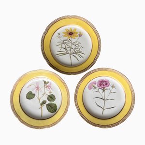 Porzellanteller mit handbemalten botanischen Motiven von Royal Crown Derby, 18. Jh., 3er Set