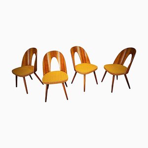 Dining Chairs in Walnut Finish by Antonin Suman, Czechoslovakia, 1960s, Set of 4