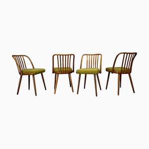 Beech Dining Chairs by Antonin Suman, 1960s, Set of 4