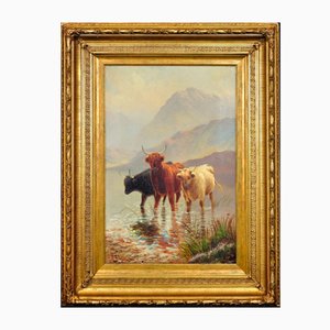 Henry Robinson Hall, Highland Cattle in a Scottish Loch, 1890, Dipinto ad olio, Incorniciato