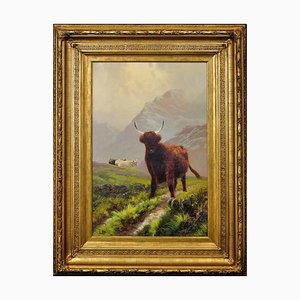 Henry Robinson Hall, Highland Cattle in a Scottish Upland Pasture, 1891, Olio su tela, con cornice