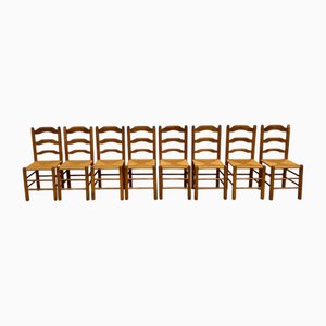 Chairs in Elm and Mulched Seat, 1950s, Set of 8