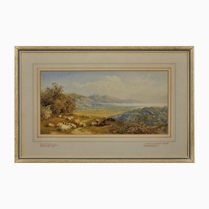 Cornelius Pearson & Thomas Francis Wainewright, Crumlin Bog and Neath River Estuary, Swansea, 1872, Acquerello