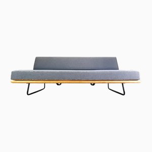 Sofá cama Mid-Century de Rolf Grunow para Knoll Inc. / Knoll International, años 50