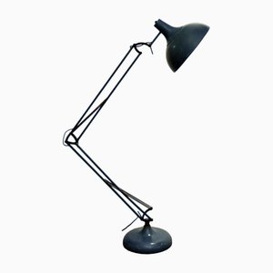 Large Industrial Floor Lamp, 1960s