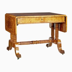 Antiker Biedermeier Sofatisch aus Wurzelbirke, 1825