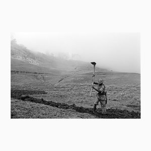 Erich Andres, Labor in the Fields, Port-au-Prince, Photograph