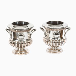 Refroidisseurs à Vin Antiques, Angleterre, Set de 2