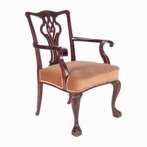 Chippendale Armchair in Mahogany, 1960s