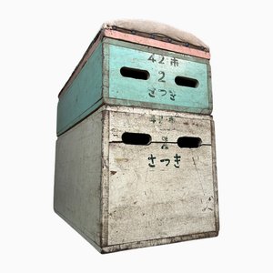 Vintage Japanese Vaulting Box, 1960s