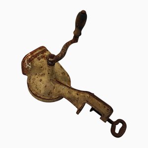 Gemüsemaschine aus Gusseisen
