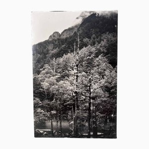 Noriko Saito, Kamigōchi Shin-Ni Pond, 1980s, Photographic Print, Framed