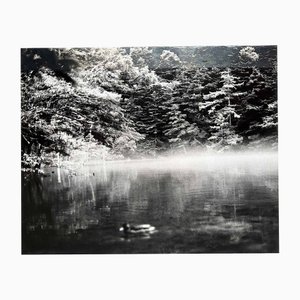 Noriko Saito, Japanische Waldlandschaft, 1980er, Fotodruck, Gerahmt