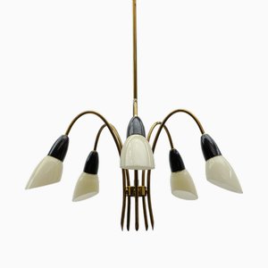 Vintage Italian Brass Spider Lamp with Glass Shades, 1950s