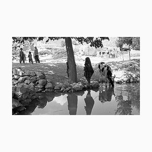 José Nicolas, Wardak, 1984, Silberdruck