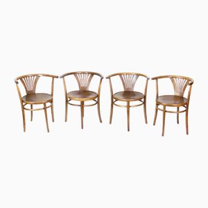Nr. 28 Armchairs from Thonet, 1920, Set of 4
