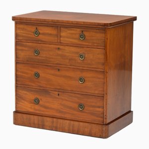 Brown Mahogany Chest, 1870s