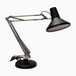 Naska Loris Tischlampe von Luxo