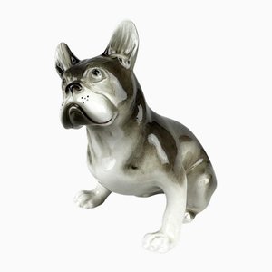 French Bulldog Figurine in Porcelain from Royal Dux, 1960s
