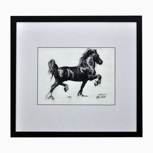Elin Sian Blake, Black Welsh Cob, Charcoal on Paper