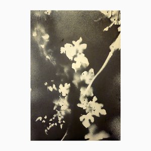 Stefano Mazzolini, RF17, 2020, Acrylic on Paper