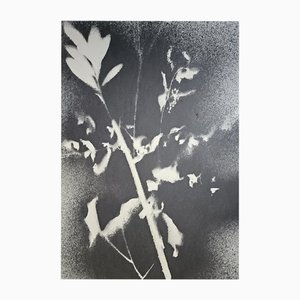 Stefano Mazzolini, RF36, 2020, Acrylic on Paper